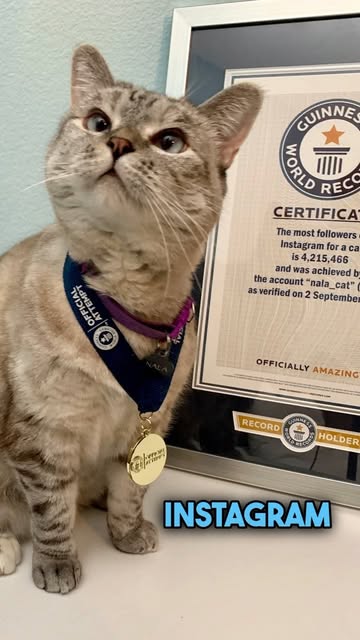 Nala with medal