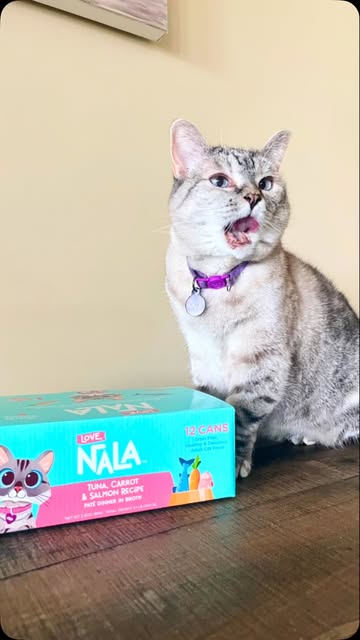 Expressive Nala